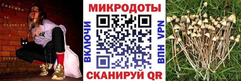 Галлюциногенные грибы GOLDEN TEACHER  закладка  Сенгилей 