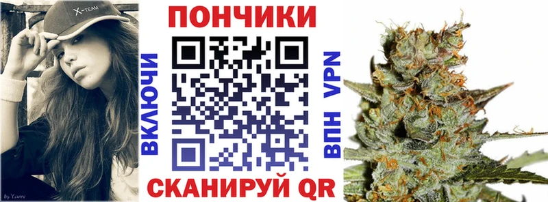 кракен   Сенгилей  Бошки марихуана индика 